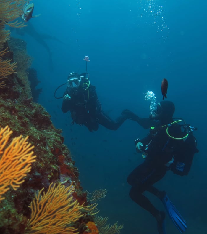 Dykning autonomt Côte bleue