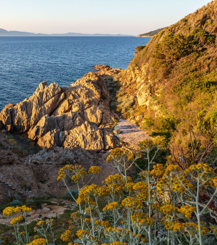 Plongée autonome Parc de Port Cros 6 jours