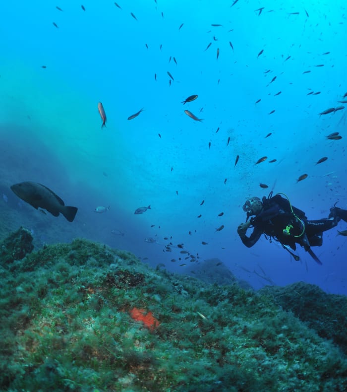 Selvstændig dykning Port Cros Park 6 dage