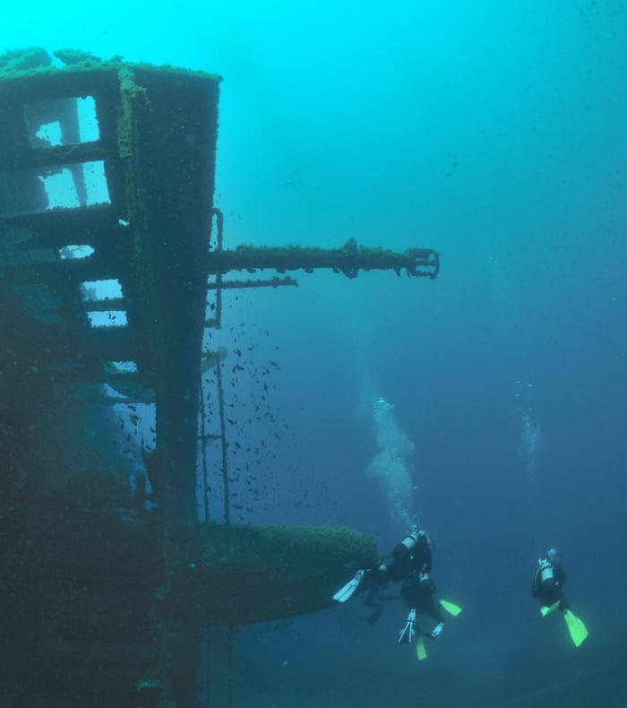 Plongée autonome Parc des Calanques 5 jours