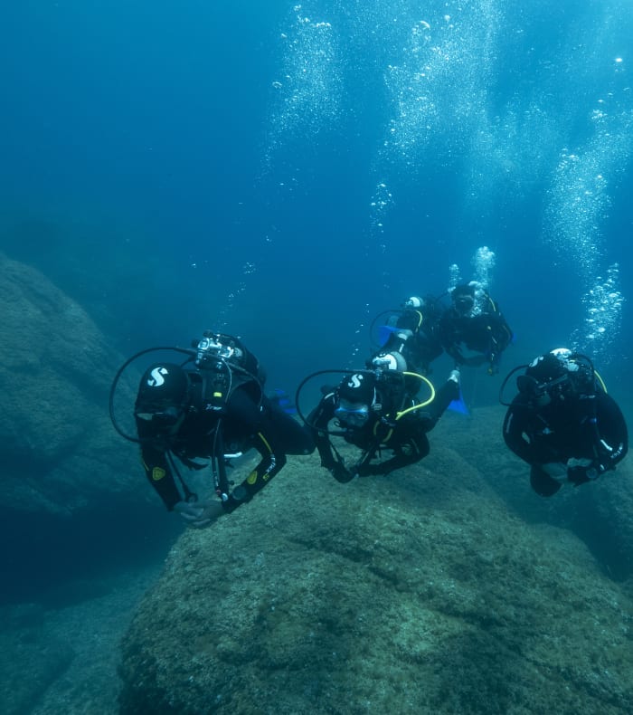 Plongée exploration archipel des Embiez - Sans hébergement