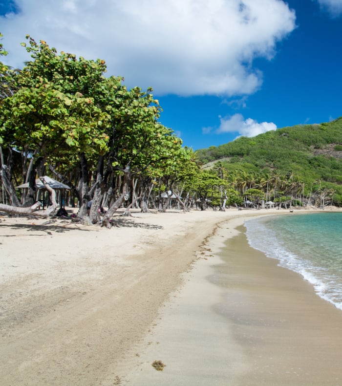 Plongée exploration aux Saintes 8 jours