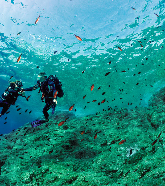 Dykkerudforskning i Les Saintes 8 dage