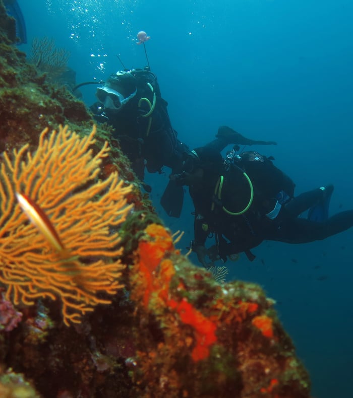 Plongée exploration Côte bleue - 5 jours - Sans hébergement
