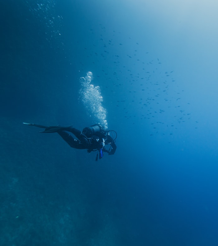 Opdagelsesdykning Côte bleue - 5 dage - Uden logi