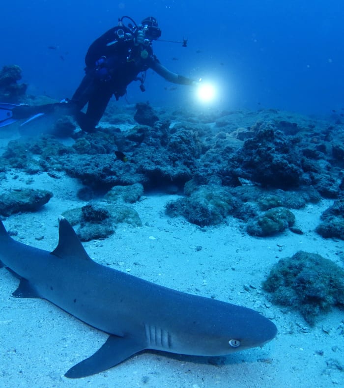 Plongée Exploration