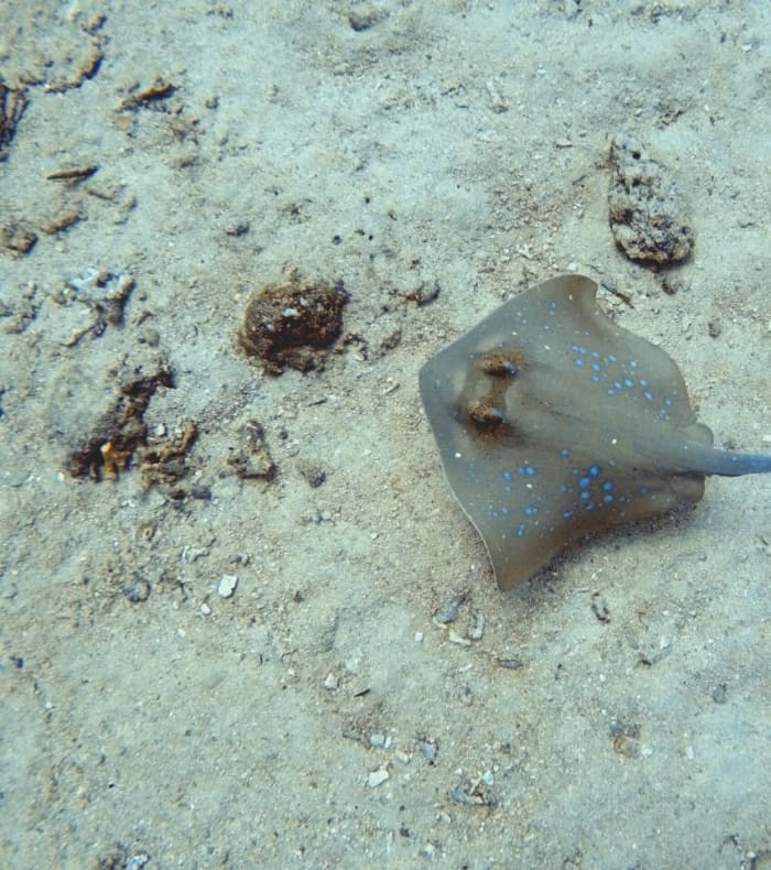 Plongée exploration