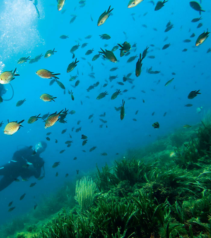 Plongée Exploration