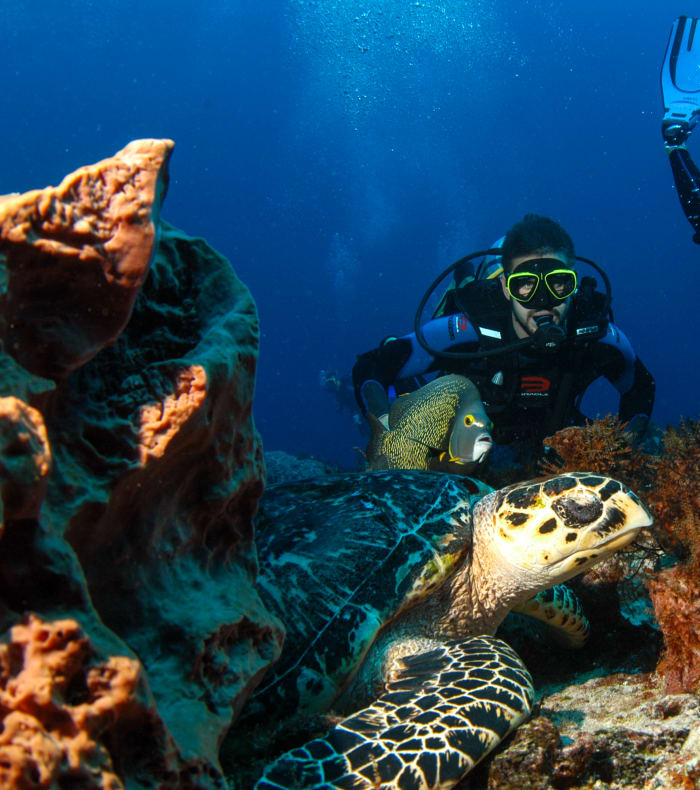 Plongée exploration