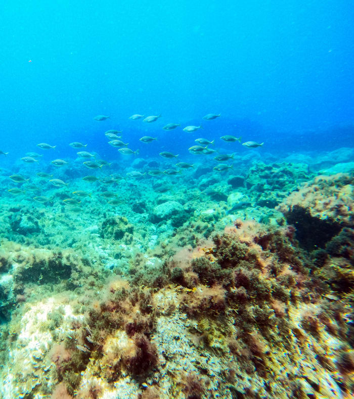 Plongée Exploration