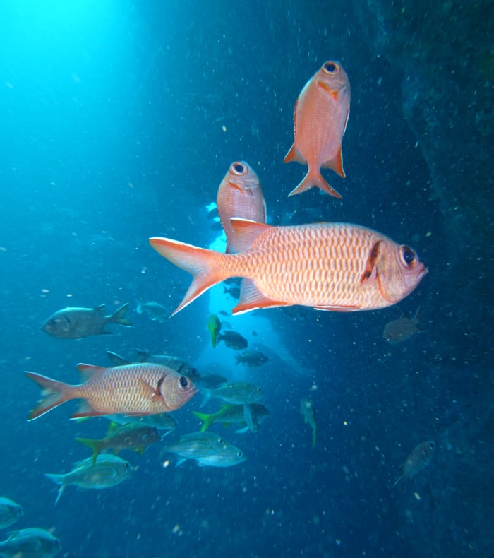 Plongée Exploration