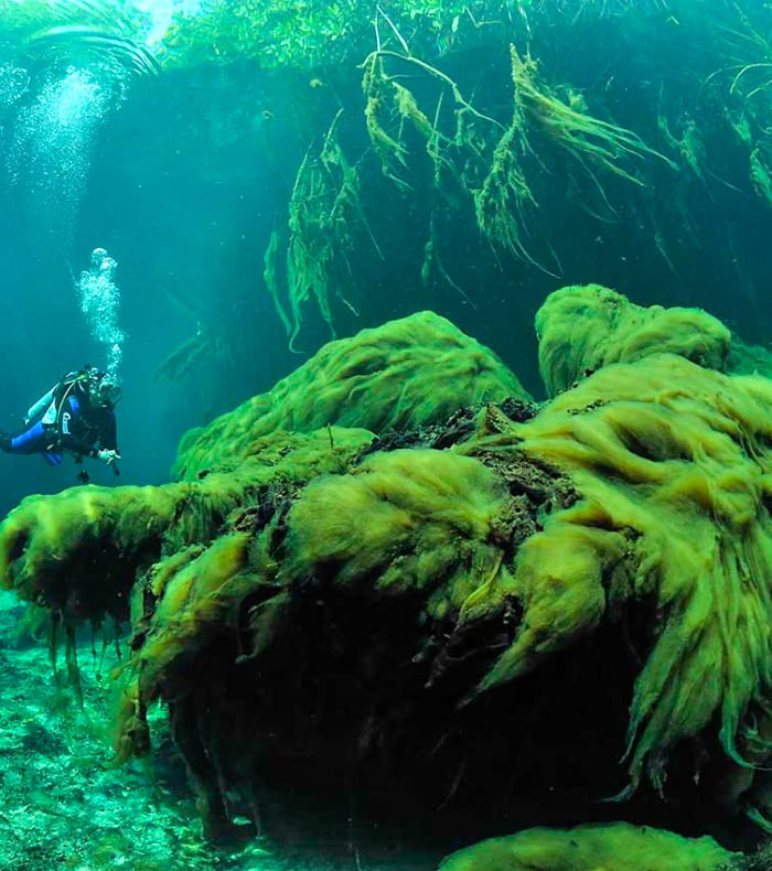 Plongée exploration