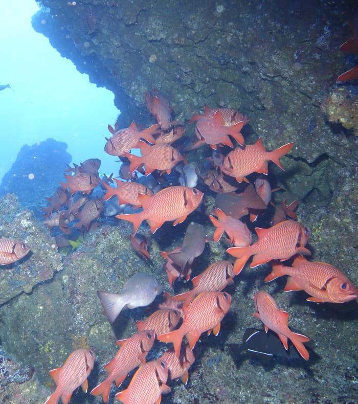 Plongée Exploration