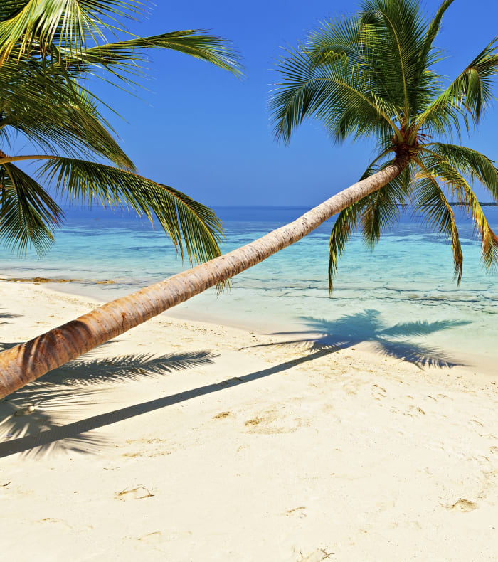 Plongée Exploration Croisière Maldives