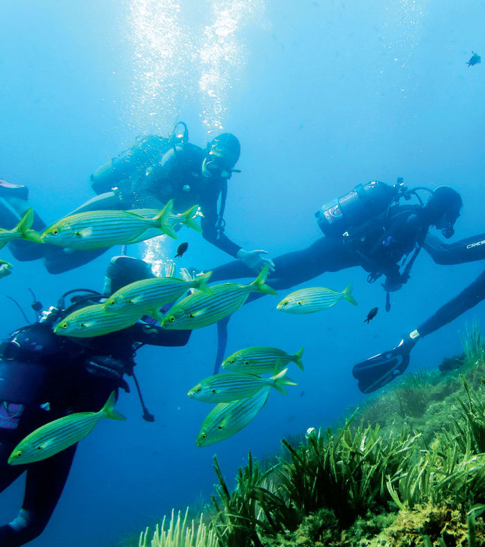 Plongée Exploration en Corse