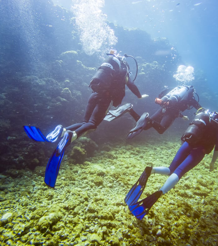Plongée Exploration en Corse
