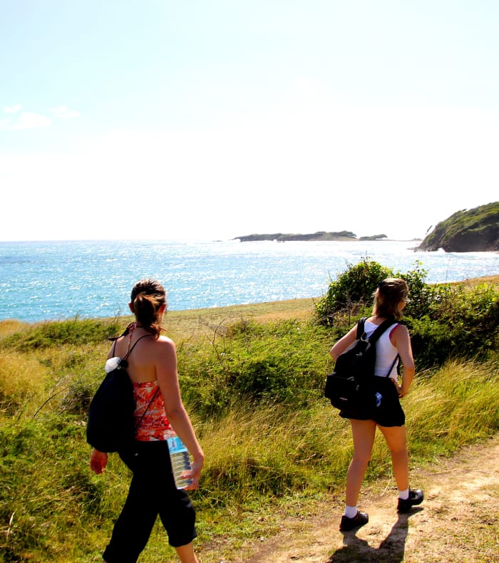 Opdagelsesdykning og Vandring Caribien 15 dage