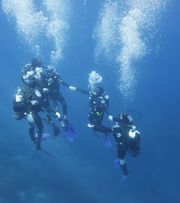 Plongée exploration Giens et Porquerolles