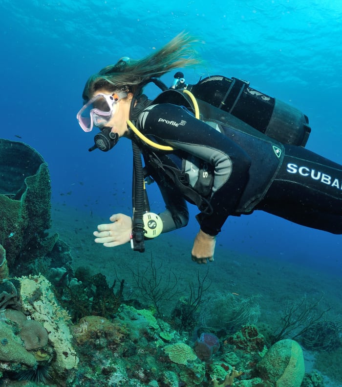 Plongée exploration Martinique 11 jours