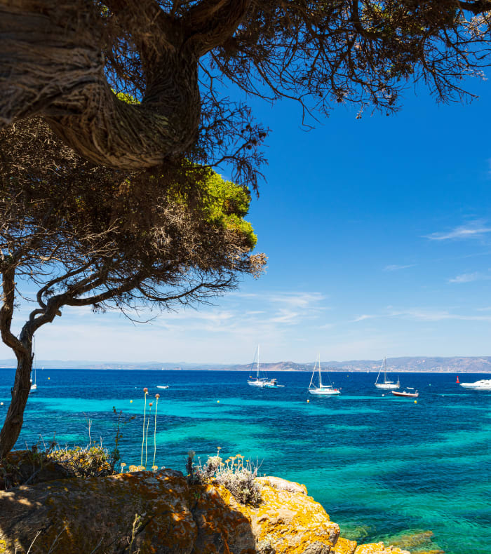 Plongée exploration Parc de Port Cros 6 jours