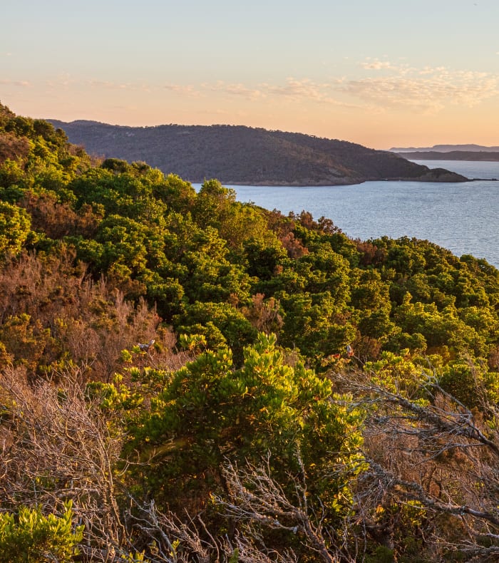 Dykning, udforskning af Port Cros Nationalpark, 6 dage