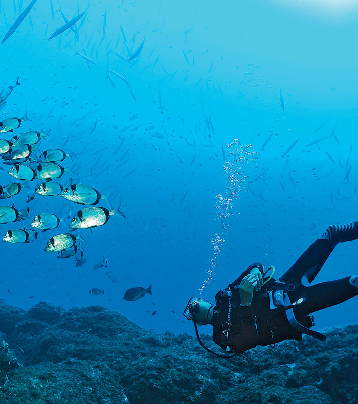 Plongée exploration Parc de Port Cros
