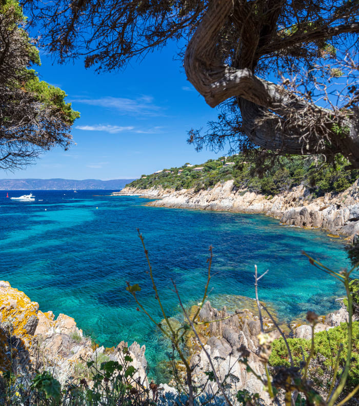 Plongée exploration Parc de Port Cros