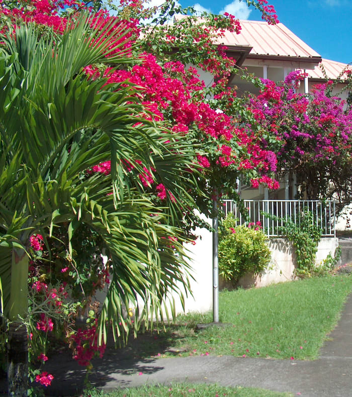 Plongée exploration profonde Découverte Sport & Culture Martinique 15 jours