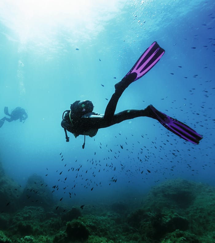 Dybdeudforskende dykning Opdagelse Sport & Kultur Martinique 15 dage