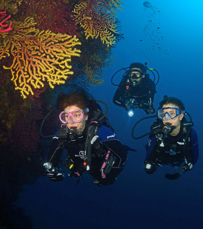 Dybdeudforskning dykning Port Cros Park 6 dage