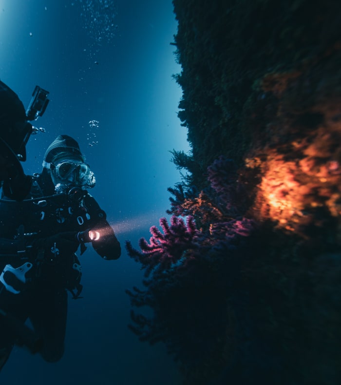 Plongée exploration profonde Parc des Calanques 5 jours - Spécial Ascension