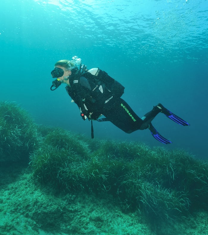Dykkerekspeditioner på Giens-halvøen 