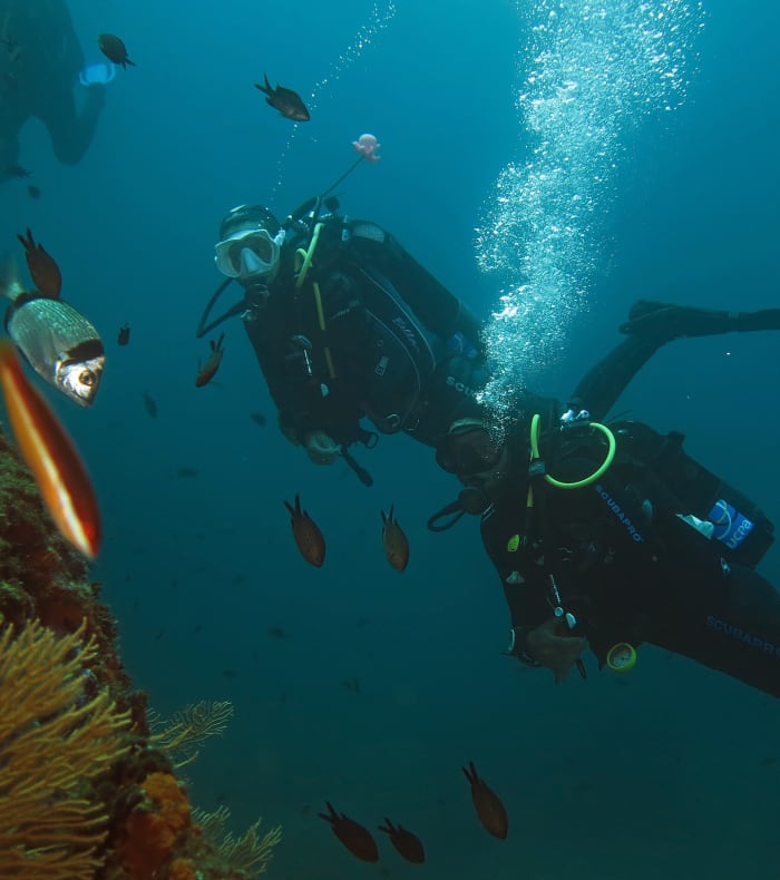 Plongée formation finale niveau 3
