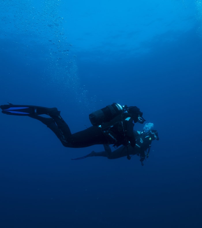 Plongée préparation et examen niveau 4 guide de palanquée en 14 Jours