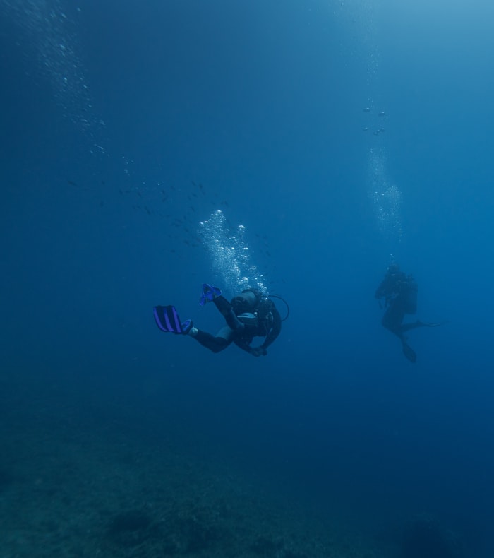 Dykning forberedelse og eksamen niveau 4 dykkerguide på 14 dage