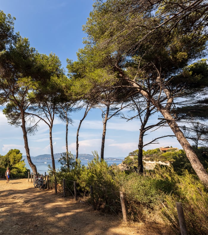 Plongée spécial débutant & découverte de Porquerolles
