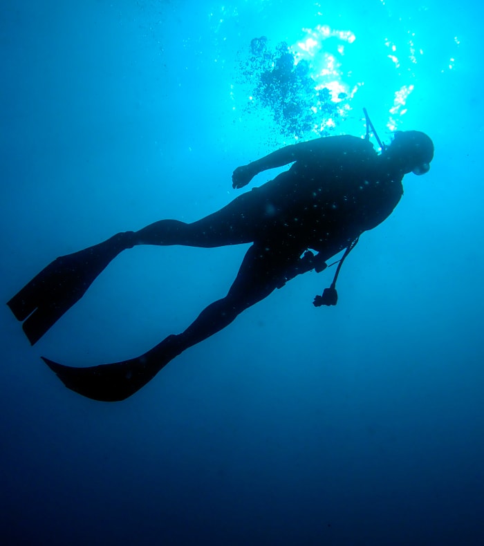 Plongée Spécial débutant / Découverte Saintoise 15 jours