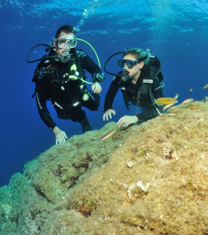 Dykning specielt for begyndere - Happy Summer