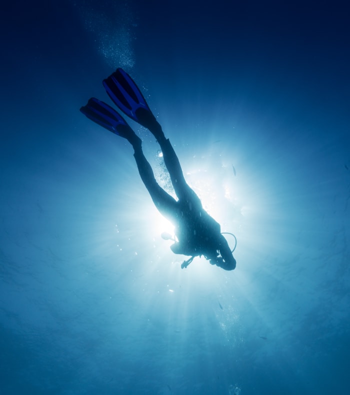 Dykning specielt for begyndere - Happy Summer