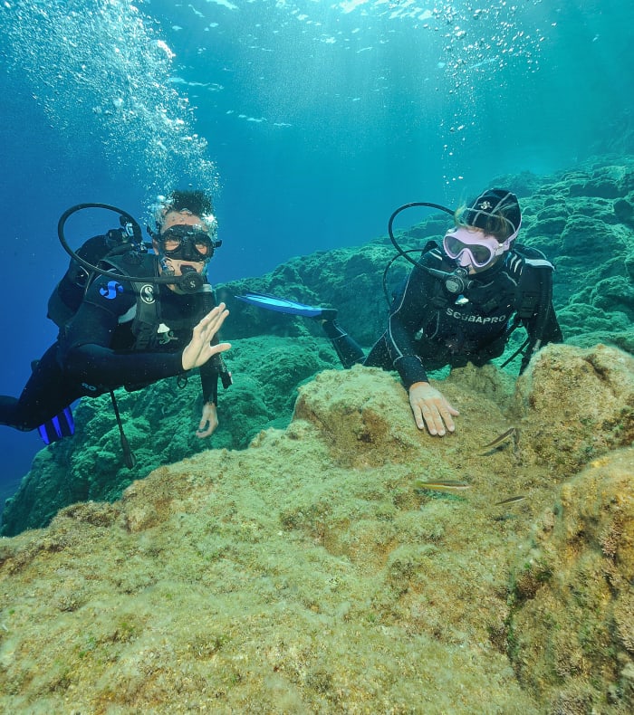 Dykning for begyndere - Uden overnatning