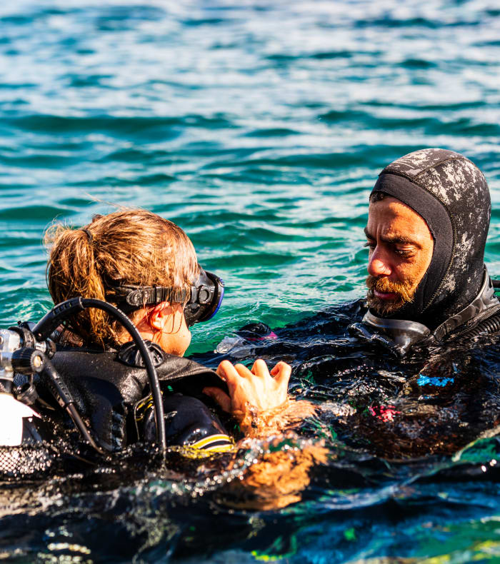 Dykning specielt for begyndere - Uden indkvartering