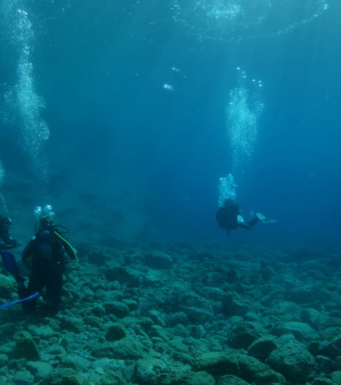 Plongée spécial débutant - Yoga