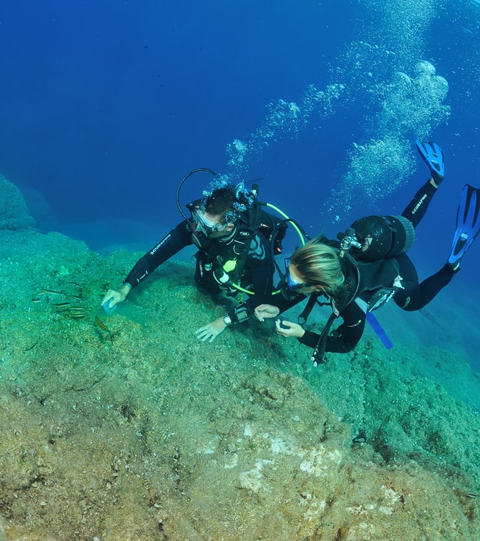 Plongée spécial débutant 5 jours - Sans hébergement