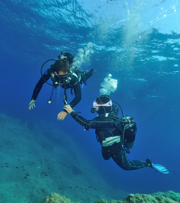 Dykning specielt for begyndere 5 dage - Uden logi