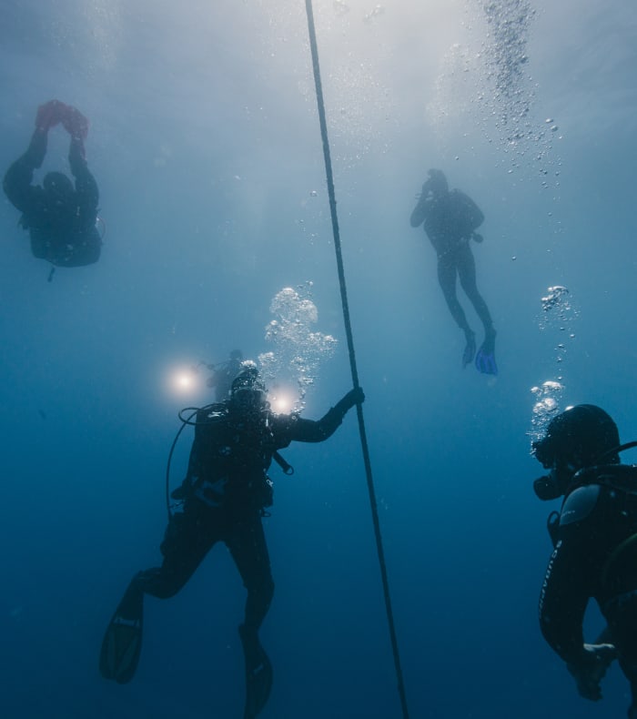 Dyk for begyndere 5 dage