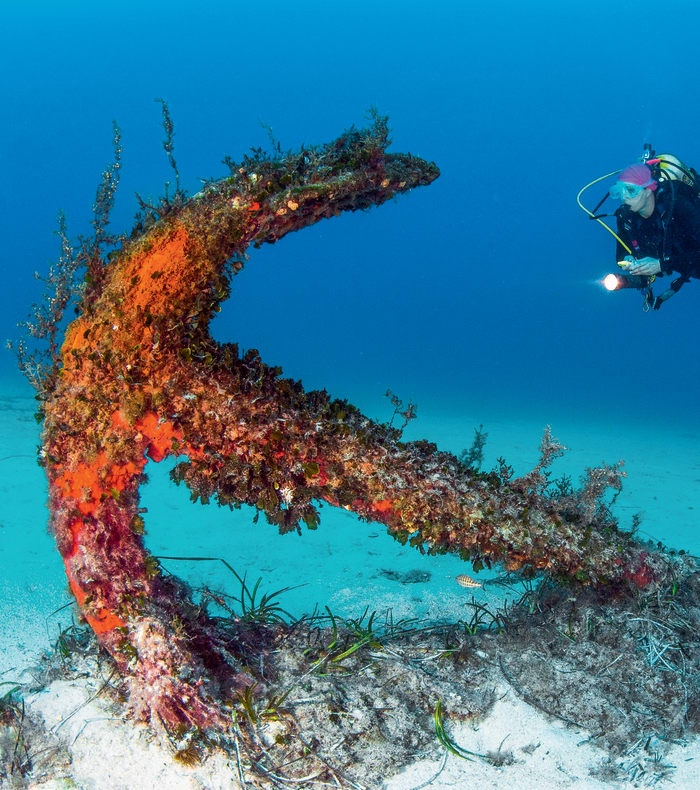 Plongée Spécial Débutant