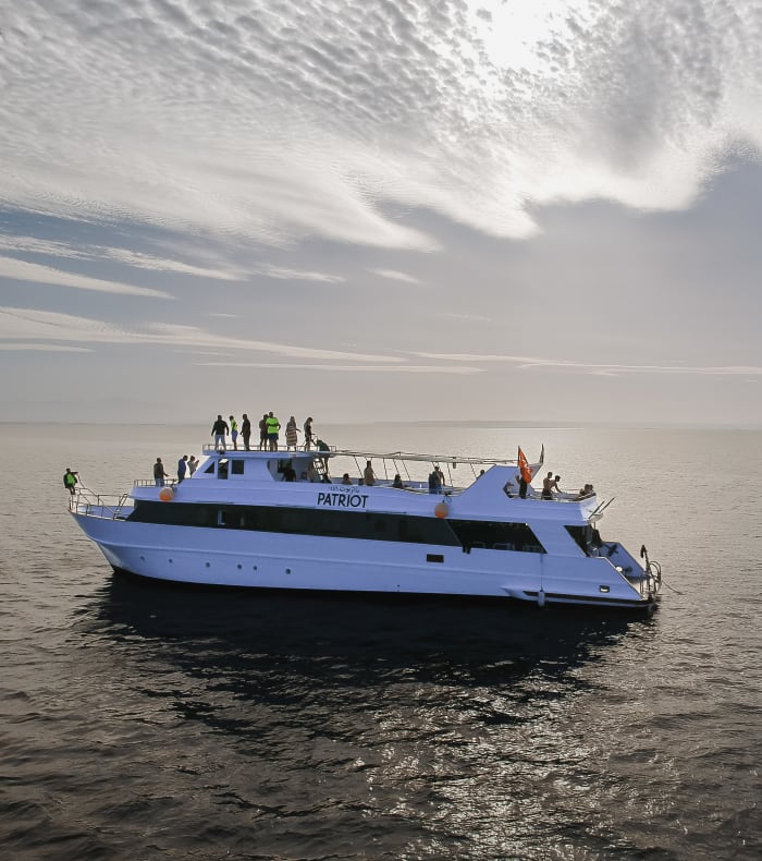 Plongée Spécial Débutant