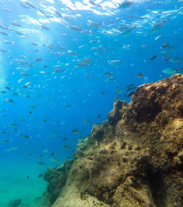 Plongée spécial débutant
