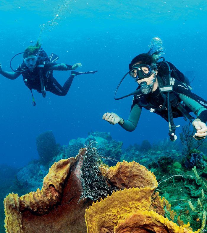 Plongée Spécial Débutant et plongée exploration Martinique en 15 jours