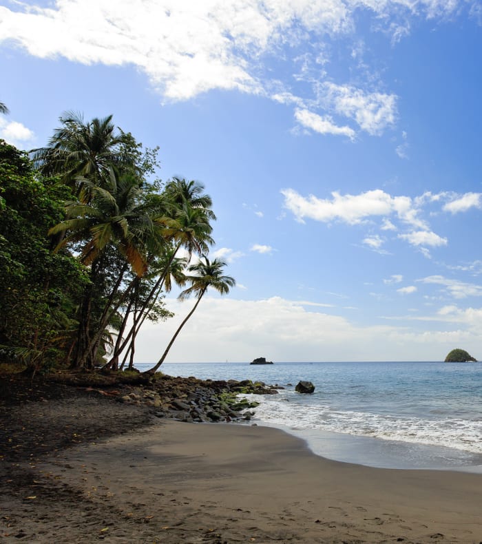 Plongée Spécial Débutant et plongée exploration Martinique en 15 jours